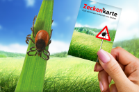 RNK Zeckenkarte "Safecard" mit Lupe, 85 x 54 mm, 1 Stück