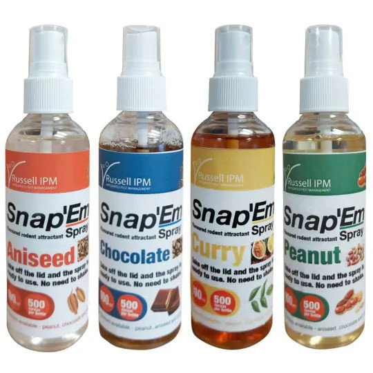 Snap’Em Spray, 100 ml Zerstäuberflasche, verschiedene Aromen