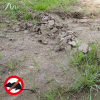 Gardigo Wühlmauszange, 70070, 4260277262273, 1 Stück