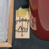 Gardigo Holz-Mausefalle, 623262, 4260277266479, 2er Set