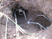 Original Wolf´s Augsburger Kippbügelfalle Wühlmausfalle, 10 Stück