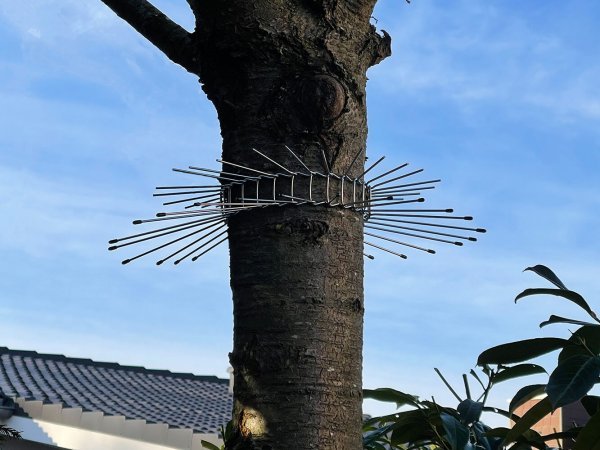 12 cm Erweiterung Marderabwehr katzenabwerhr waschbärenabwehr Bäume  Abwehrgürtel